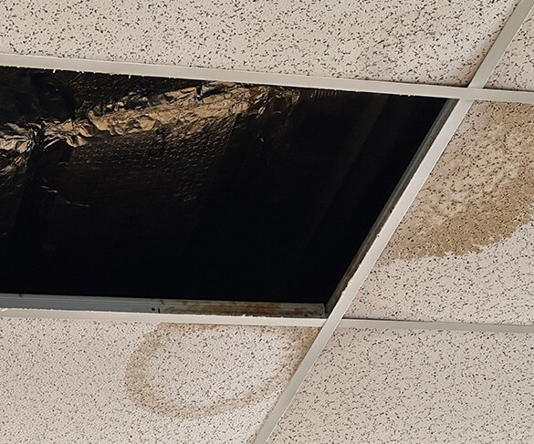 Water-damaged ceiling tile with dark staining from a roof leak